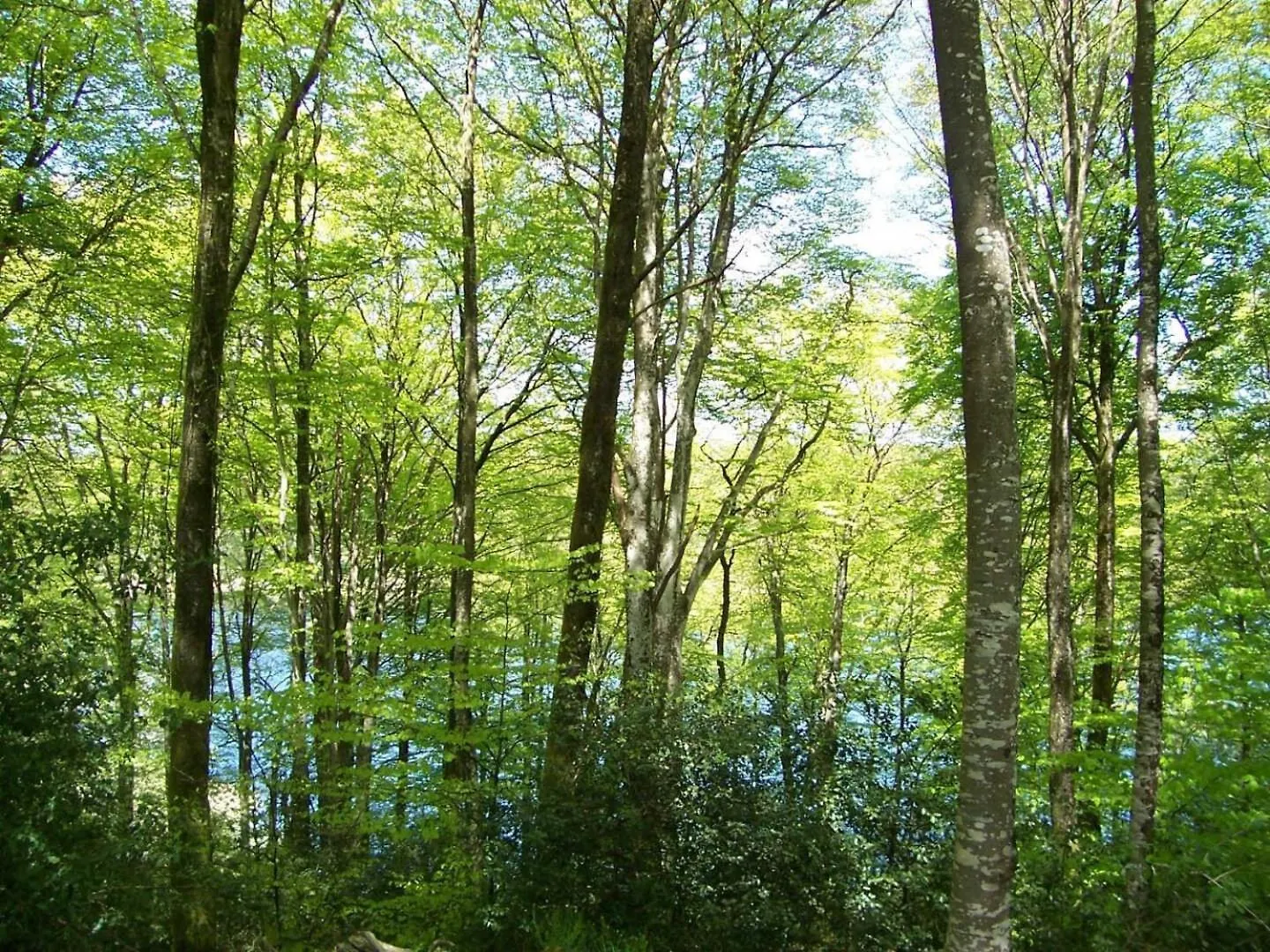 Les Gites De La Planette - Gite 3 Saint-Amans-Valtoret